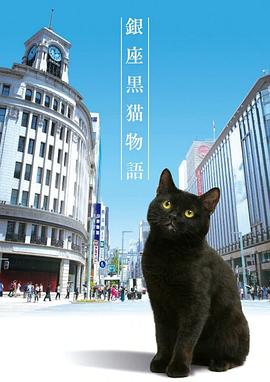 银座黑猫物语的海报