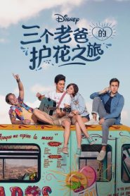 三个老爸的护花之旅的海报