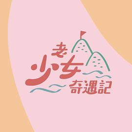 老少女奇遇记的海报