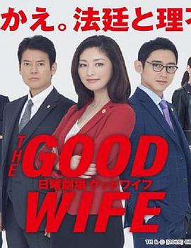 傲骨贤妻的海报