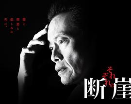 各自的断崖的海报
