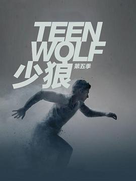 少狼第五季的海报