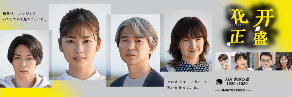 花开正盛的海报