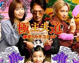 极主夫道爆笑！找碴SP的海报