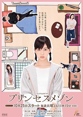 公主小屋的海报